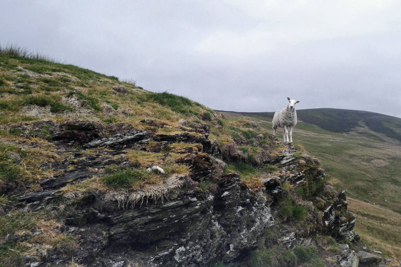 Guided mountain Walking. 